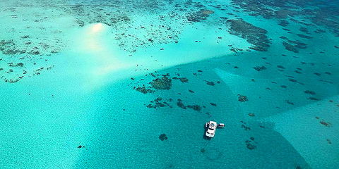 Ocean Free & Ocean Freedom - Cairns Premier Reef And Island Tours - Whitsundays Accommodation 3