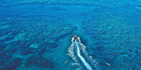 Ocean Free & Ocean Freedom - Cairns Premier Reef And Island Tours - Whitsundays Accommodation 4
