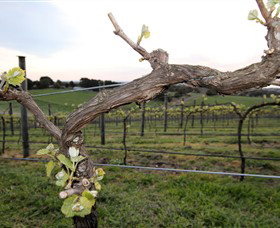 Drysdale VIC Whitsundays Accommodation