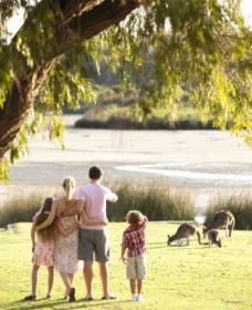 Yanchep WA Whitsundays Accommodation