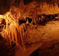 Yanchep National Park - Crystal Cave - Whitsundays Accommodation