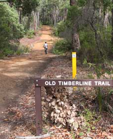 East Nannup WA Whitsundays Accommodation