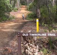 Old Timberline and Sidings Rail Trails - Whitsundays Accommodation