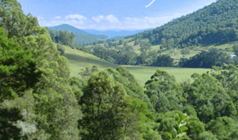 Blue Poles Gallery - Whitsundays Accommodation 1