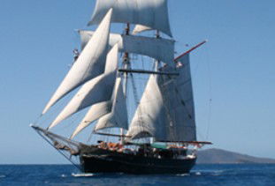 Australian Tallship Cruises - Whitsundays Accommodation 0