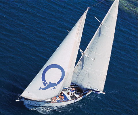 Ocean Free & Ocean Freedom - Cairns Premier Reef And Island Tours - Whitsundays Accommodation 0