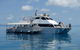 Ocean Free & Ocean Freedom - Cairns Premier Reef And Island Tours - thumb 1