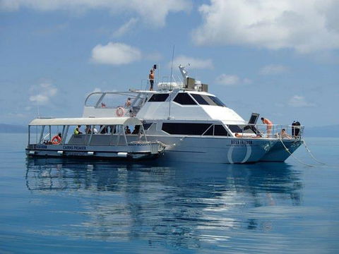 Ocean Free & Ocean Freedom - Cairns Premier Reef And Island Tours - Whitsundays Accommodation 1