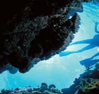Deep Sea Divers Den - Whitsundays Accommodation