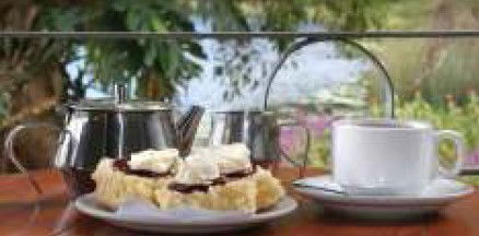 Food Trails Tours - Whitsundays Accommodation 2