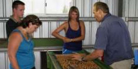Food Trails Tours - Whitsundays Accommodation 3