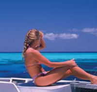 Mike Ball Dive Expeditions - Whitsundays Accommodation