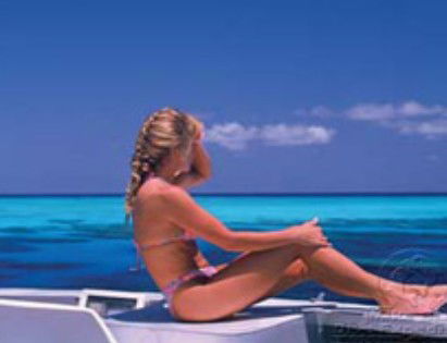 Mike Ball Dive Expeditions - Whitsundays Accommodation 0