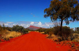 Pandanus Aboriginal Art Gallery - Whitsundays Accommodation 1