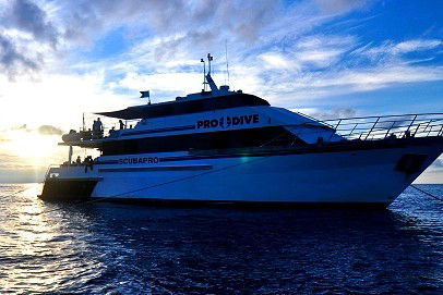 Pro Dive Cairns - Whitsundays Accommodation 1