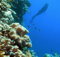 Reef Magic Cruises - Whitsundays Accommodation