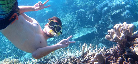 Seastar Cruises - Whitsundays Accommodation 4