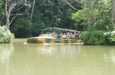 Tropic Wings Coach Tours - Whitsundays Accommodation 1