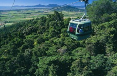 Tropic Wings Coach Tours - Whitsundays Accommodation 2