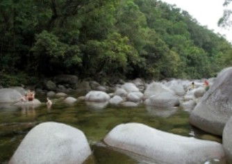 Tropical Horizons Tours - Whitsundays Accommodation 0