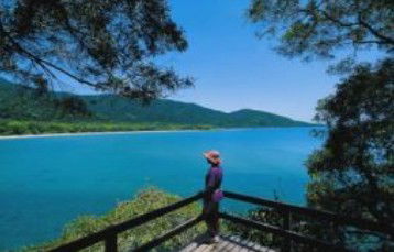 Tropical Horizons Tours - Whitsundays Accommodation 2