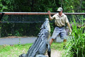 Tropical Horizons Tours - Whitsundays Accommodation 4