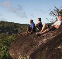 Cooktown Aboriginal Art Tours - Whitsundays Accommodation