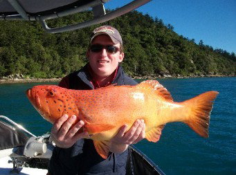 Gone Fishing By Coral Sea Fishing Charters Airlie Beach - Whitsundays Accommodation 0