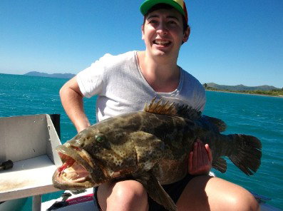 Gone Fishing By Coral Sea Fishing Charters Airlie Beach - Whitsundays Accommodation 4