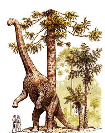 Australian Age Of Dinosaurs - Whitsundays Accommodation 2