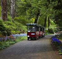 Araluen Botanic Park - Whitsundays Accommodation