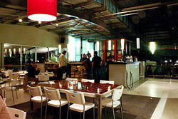 Martini Bar - Whitsundays Accommodation 1