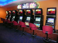 Swell Tavern - Whitsundays Accommodation 1