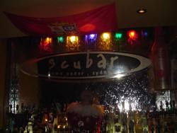 Scubar - Whitsundays Accommodation 1