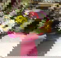 Bahia Restaurant - Whitsundays Accommodation