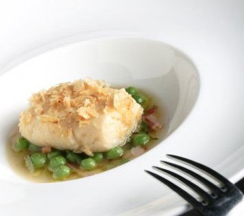 Absynthe Restaurant - Whitsundays Accommodation 3