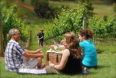 Oceanview Estate Winery / Restaurant - Whitsundays Accommodation 7