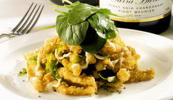  Whitsundays Accommodation