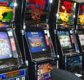 Katherine Country Club - Whitsundays Accommodation