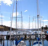 Oyster Cove Inn - Whitsundays Accommodation