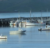 The Apollo Bay Hotel - Whitsundays Accommodation