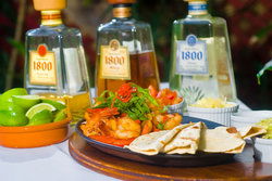 Greenant Cantina - Whitsundays Accommodation 0