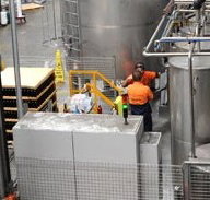 Little Creatures - Whitsundays Accommodation