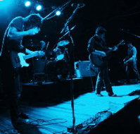 Fly By Night Musicians Club - Whitsundays Accommodation