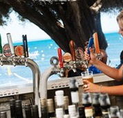 Quokka Arms - Whitsundays Accommodation