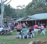 Bush Shack Brewery - Whitsundays Accommodation