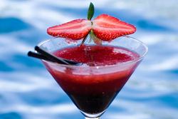 Blue Mango Wine Bar - Whitsundays Accommodation 2