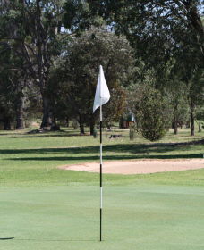 Inverell Golf Club - Whitsundays Accommodation 1