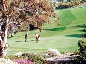 Victor Harbor Golf Club - Whitsundays Accommodation 1