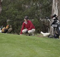 Tasmania Golf Club - The - Whitsundays Accommodation